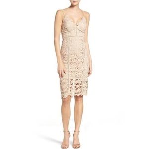 Bardot botanica lace dress BEIGE small/US 6